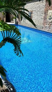 埃里温阿勒珀酒店的前方的蓝色游泳池,棕榈树