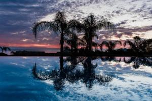 普罗塔拉斯Cavo Zoe Seaside Hotel的棕榈树在水中反射,日落