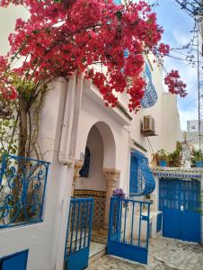 西迪·布·赛义德Coup de cœur à Sidi Bou Said的一座有蓝色门的建筑和一棵有红色花的树