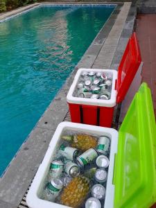 1989 Villa的水边一个泳池,里面装有两个塑料容器,装有饮料和食物