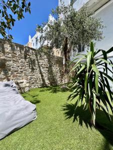 米克诺斯城玛朵齐雅妮酒店的石头墙和植物的院子
