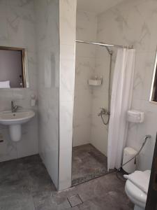 马达巴黑鸢尾酒店 的带淋浴、盥洗盆和卫生间的浴室
