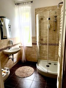 瓦乌奇Agroturystyka Hotel Noclegi Pałac Camping的带淋浴和盥洗盆的浴室