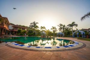 焦特布尔Marugarh Resort and Spa的度假村内棕榈树游泳池