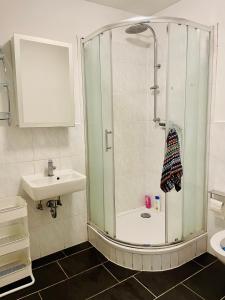 塞费塔尔Easy Home Apartment的带淋浴和盥洗盆的浴室