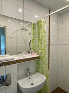 派尔努格林别墅酒店的一间带水槽和淋浴帘的浴室