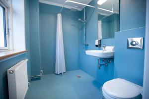 布罗斯特Skovsgård Hotel的蓝色的浴室设有卫生间和水槽