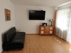 安贝格Ferienwohnung Nella的客厅配有沙发和电视。