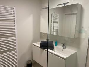根特Le Sable Doux - Gent的白色的浴室设有水槽和镜子