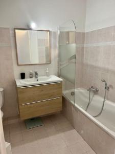 戛纳Appartement 2 pièces de 29 m2的一间带水槽、镜子和淋浴的浴室