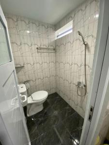 坤甸Hotel Berlian的一间带卫生间和淋浴的浴室