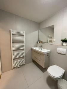埃森Green Stay的一间带卫生间、水槽和镜子的浴室