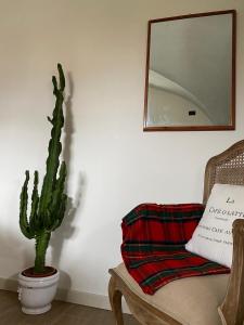 伊塞奥蒂卡卡萨菲娜萝莉酒店的仙人掌坐在椅子和镜子旁