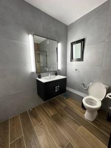 海法2-bd apartment at the heart of the Carmel的一间带卫生间、水槽和镜子的浴室