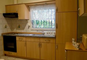普萨克迪亚Vasiliki's Apartment的厨房配有木制橱柜、水槽和窗户。