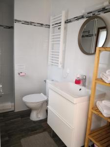 Saint-Germain-sur-Morin拉罗斯戴斯唯特斯酒店的一间带卫生间、水槽和镜子的浴室