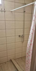 乌曼岛Kolyba Complex的浴室内设有带粉红色淋浴帘的淋浴