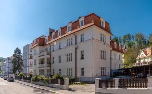 捷克克鲁姆洛夫Apartmán Masaryk的白色的大建筑,带有棕色的屋顶