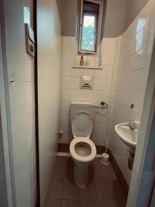 维也纳Venus Apartment的一间带卫生间和水槽的小浴室
