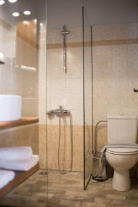 扎戈拉Φιλυρέα - Ενοικιαζόμενα Δωμάτια的一间带卫生间和玻璃淋浴间的浴室