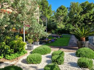巴什卡沃达Guest House Antonia的庭院里种有灌木和树木的花园