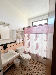布法罗莱诺克斯酒店和套房的浴室设有卫生间、水槽和淋浴帘