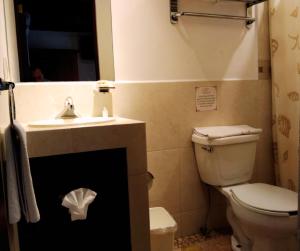 莫雷利亚Hotel Mesón de los Remedios的一间带卫生间和水槽的浴室