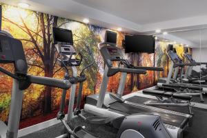 纽约纽约曼哈顿/切尔西万豪费尔菲尔德酒店的健身房设有数台跑步机和壁画