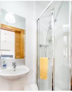 DundrumArley House B & B的白色的浴室设有水槽和淋浴。
