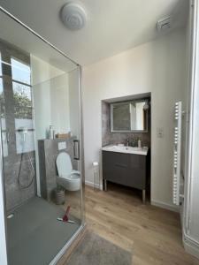 Le Domaine de la Gravette的带淋浴、卫生间和盥洗盆的浴室