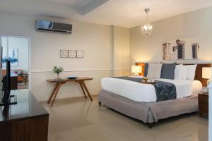 圣多明各霍德帕加勒比殖民酒店的卧室配有一张白色大床和电视。
