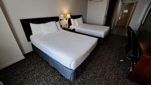 伊基克圣地亚哥德阿尔马格罗伊基克酒店的酒店客房配有两张床和一张书桌