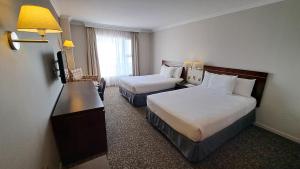 伊基克圣地亚哥德阿尔马格罗伊基克酒店的酒店客房设有两张床和电视。