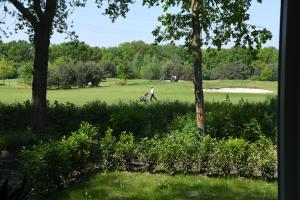 奥斯特豪特Boshuis Golfzicht "Wellness, Golf & Nature"的一个人在公园里行走