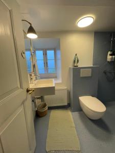 LeynarIdyllic house near river and ocean的浴室配有白色卫生间和盥洗盆。