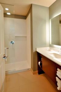 奥马哈奥马哈阿克萨本村原住客栈的带淋浴、盥洗盆和镜子的浴室