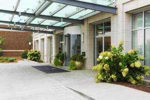 达文波特黑鹰酒店 - 签名收藏集团的一座带玻璃天花板和植物的办公楼