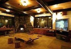 小谷村松之木亭酒店的一个带壁炉和电视的大客厅