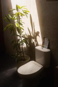 龙目岛库塔Twiny's的一间带卫生间和两盆植物的浴室