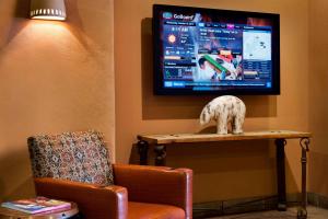 佩吉鲍威尔湖佩奇万怡酒店的客厅配有椅子和电视
