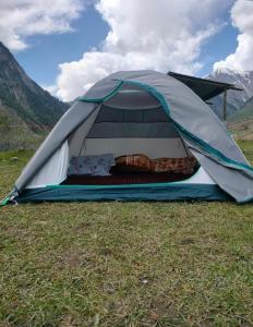 KanzalwanBrown bear camping gurez的帐篷位于田野中