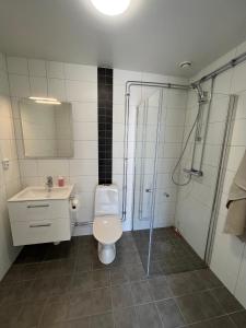 哈尔姆斯塔德Stugcentralen Lägenheter & Stugor的浴室配有卫生间、淋浴和盥洗盆。