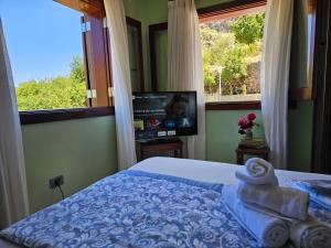 贝加德圣马特奥Villa MOGAREN的一间卧室设有一张床、一台电视和一个窗口。