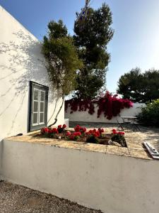 斯派赛斯Two Olive Trees的建筑前方装有红色花朵的窗框