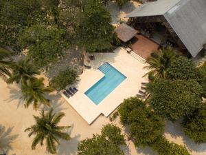 Palmetto BayTropical Breeze in Palmetto Bay的享有棕榈树游泳池的顶部景致