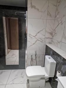 莫纳斯提尔Palm lake resort Folla Monastir的白色的浴室设有卫生间和淋浴。