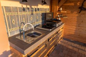 GruškovecHill Cottage Haloze的厨房柜台设有水槽和炉灶。