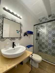 科尼尔-德拉弗龙特拉Alojamiento Rural "El Charco del Sultan"的一间带水槽、卫生间和镜子的浴室