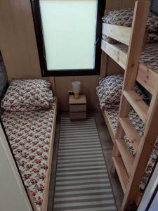 罗威u Kapitana的小房间设有两张双层床和窗户