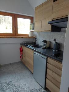 斯克拉斯卡波伦巴Zielony Jeleń - sauna i jacuzzi的一个带水槽和洗碗机的厨房